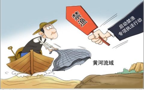 黄河开始实施禁渔期制度 是否影响消费者吃鱼？