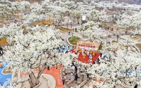 蓟州梨园情旅游文化节开幕 梨花怒放待君来~