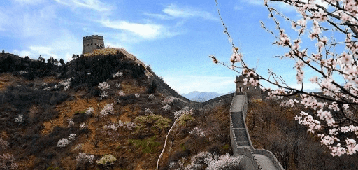 天津这个国家级文化公园建设规划来了！