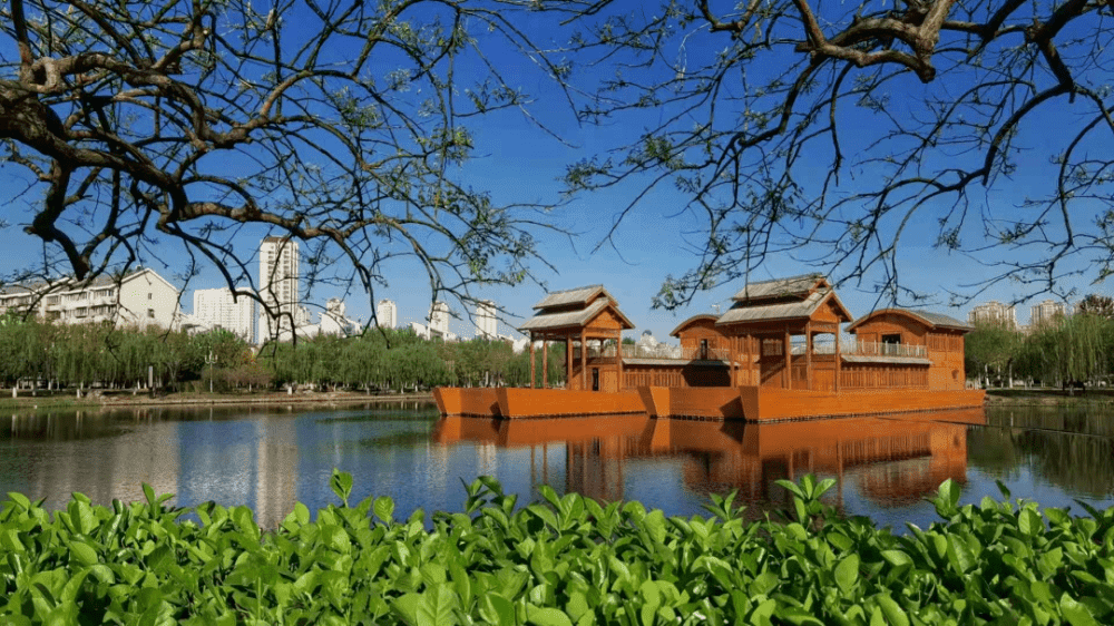 踏青宝地“C位”上线！津南，有颜值有格调！