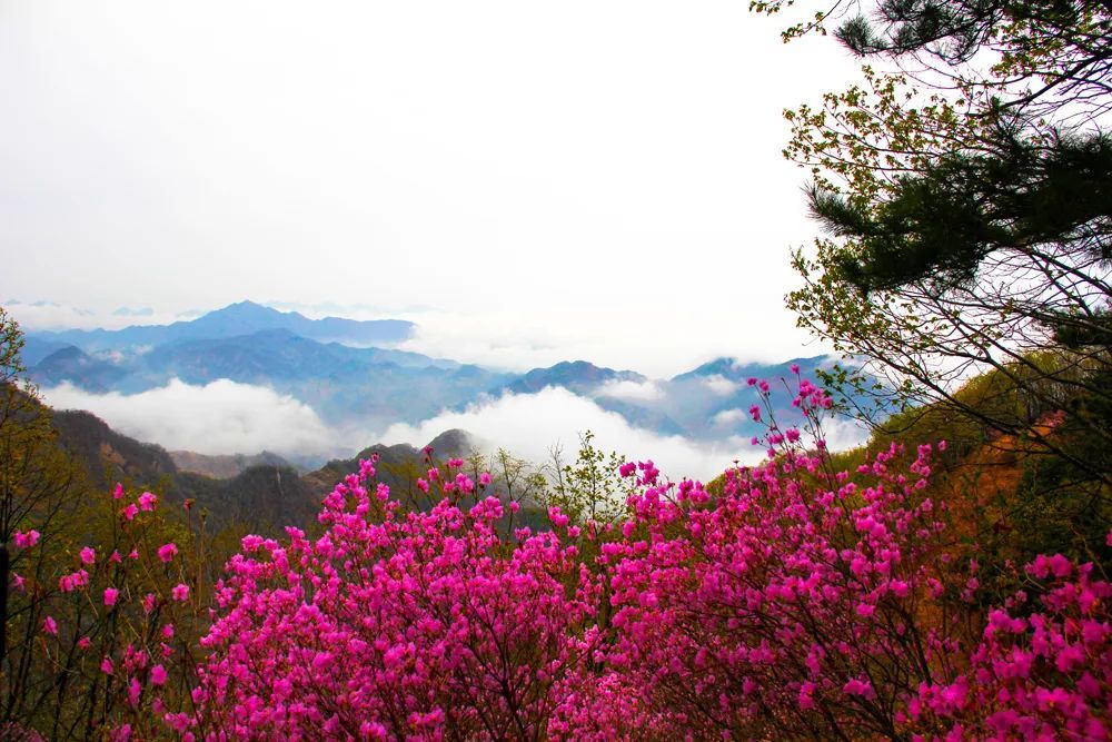 天津爬山好去处大盘点，五一来这里兜风，爽到飞起！