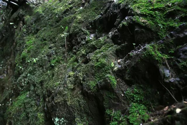 天津爬山好去处大盘点，五一来这里兜风，爽到飞起！