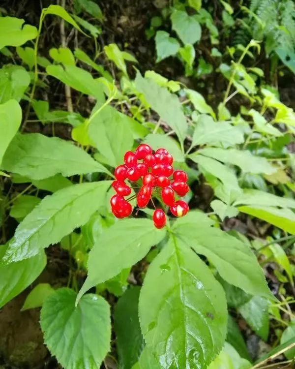 天津爬山好去处大盘点，五一来这里兜风，爽到飞起！