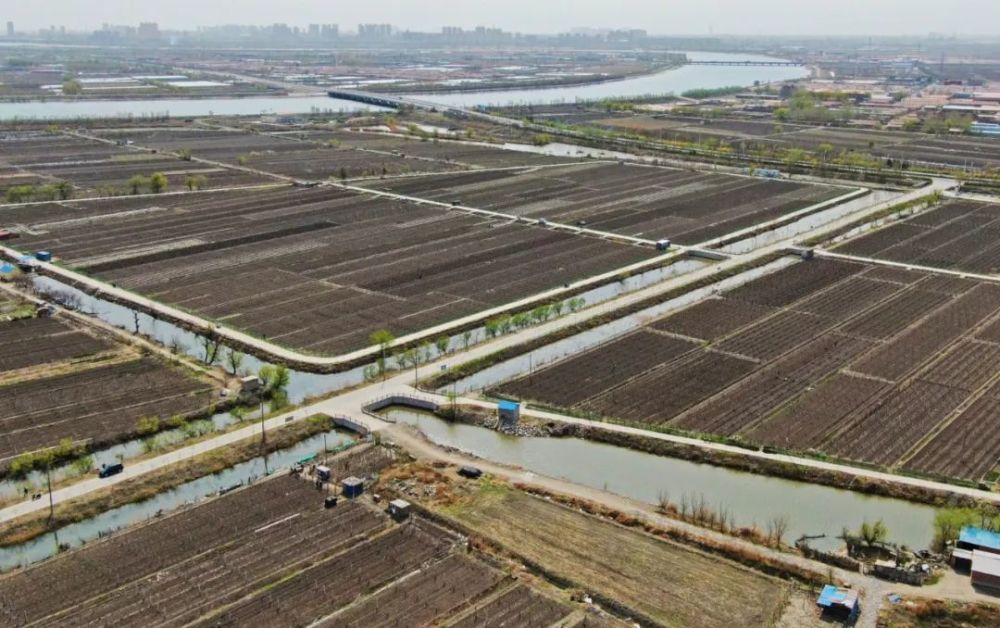 全力保障春耕供水!天津滨海新区计划实施春灌面积6.32万亩