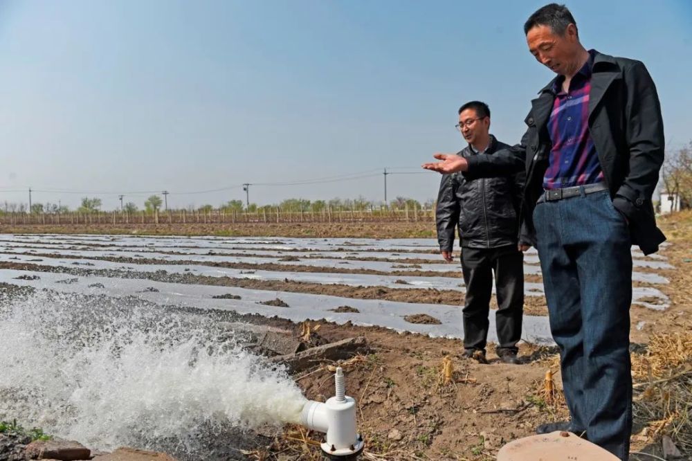 全力保障春耕供水!天津滨海新区计划实施春灌面积6.32万亩