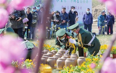 天津生态葬正在悄悄“流行”