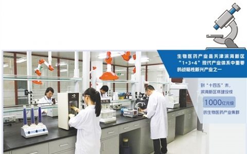 天津滨海新区培育领军企业、搭建科研创新平台