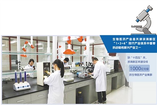 天津滨海新区培育领军企业、搭建科研创新平台