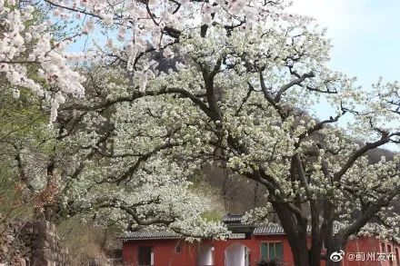 津城超美的两片“海”，怎么这么好看！