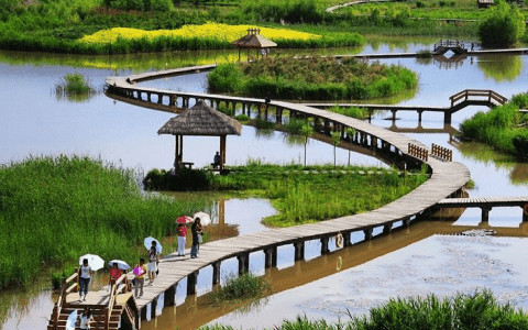 天津两大国家湿地公园八月底建成