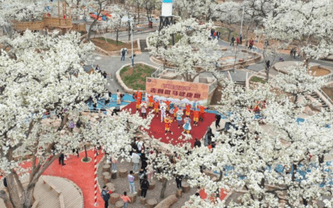 万亩梨花等你来！天津蓟州梨园情旅游文化节开幕