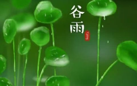 今日谷雨，吃什么又讲究又健康又养生？天津人爱吃这口！