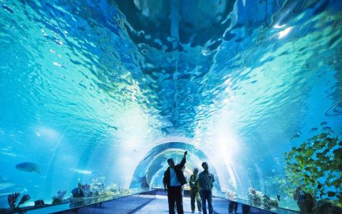 天津海昌极地海洋公园：99元！限时秒杀！极地寻春等你来go！