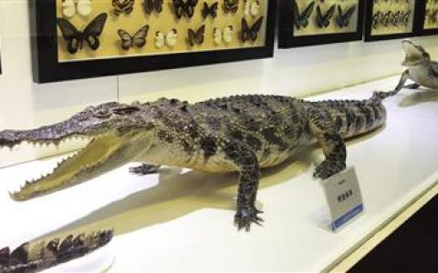 4·15 国家安全教育日 守护国门生物安全