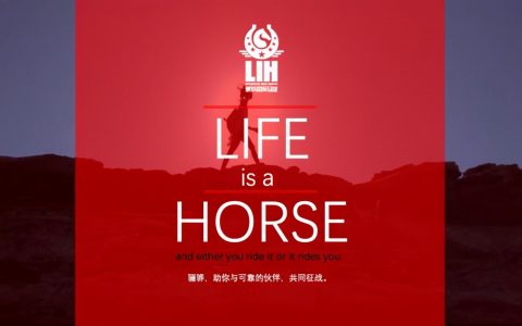 天津爱马者联盟公开赛(天津骊骅站)暨“鸟巢之路”热身赛圆满完赛