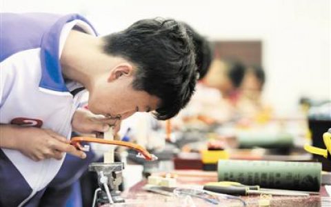 天津中小学劳动技能大比拼