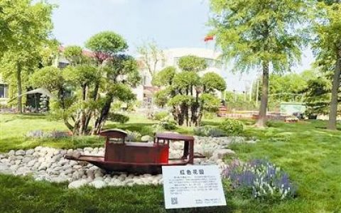 泰达园艺第二届慢生活盆花展开幕 鲜花绿植 用“自然”语言述说浪漫