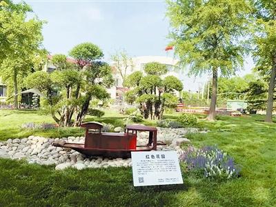 泰达园艺第二届慢生活盆花展开幕 鲜花绿植 用“自然”语言述说浪漫