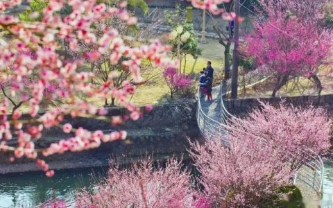 文化市场人气旺 图书、演出等文化市场持续回暖
