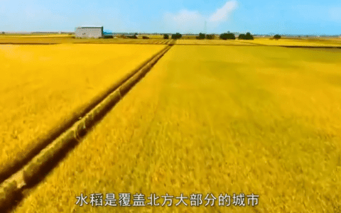 天津人工智能先锋城市建设成果 ：“智慧农业”为农民增收开辟新径