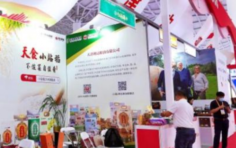 聚焦消博会丨全球宾客乐享“天津好物” “津”牌产品闪亮消博会