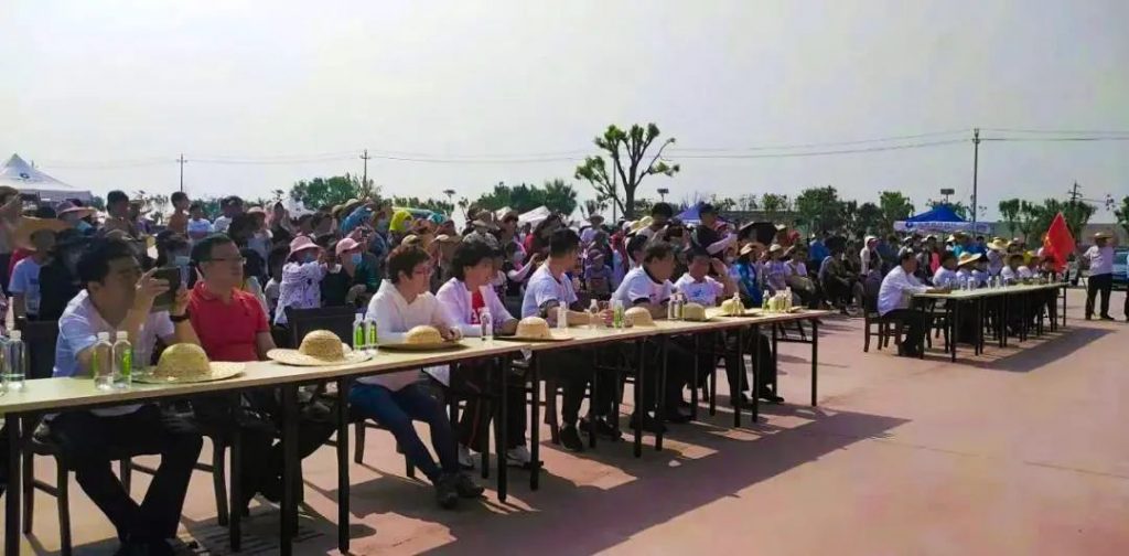 滨海新区文旅局:服务特色旅游 助力乡村振兴