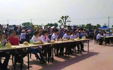 滨海新区文旅局：服务特色旅游 助力乡村振兴