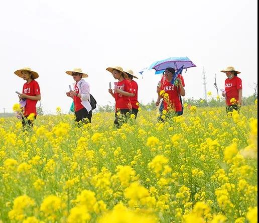 滨城首届乡村振兴健步行暨小王庄镇第二届油菜花节成功举办！