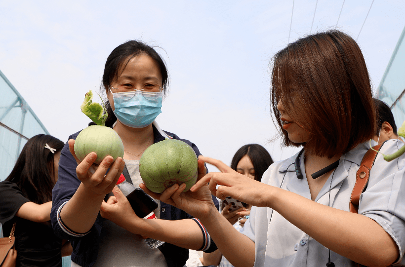 唱响宝坻声音 礼赞建党百年 —— 网络媒体看宝坻活动