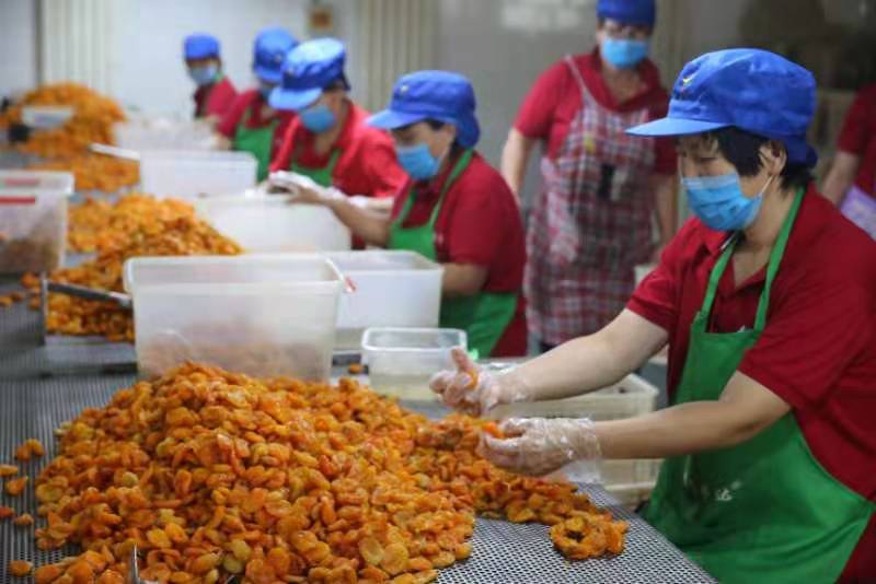 “壹果伊乐”食品专卖店的破局之旅