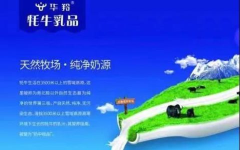 乡村振兴 携手同行 | 每日推荐：来自中国牦牛乳都的奶到底有多香？
