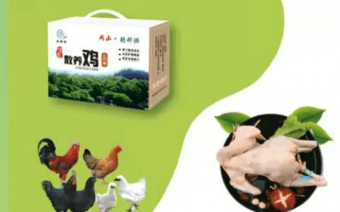乡村振兴 携手同行 | 喝山泉水、吃中草药，这只鸡不简单！