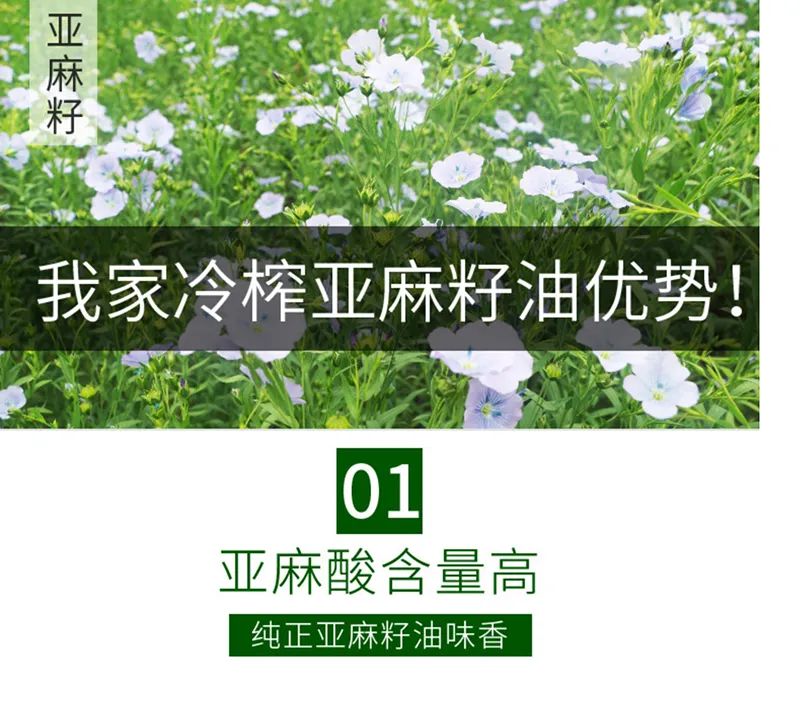 乡村振兴 携手同行 | 藏不住了！来自甘肃庆阳的“液体黄金”