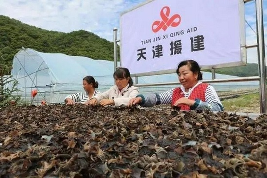 甘肃省天水市麦积区的群众参与天津援建项目。