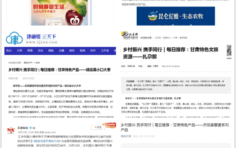 天津市网络新媒体助力东西部协作和支援合作公益行动圆满收官