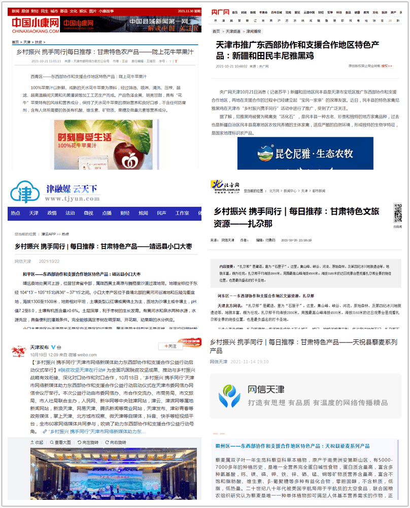 天津市网络新媒体助力东西部协作和支援合作公益行动圆满收官