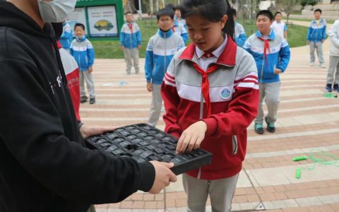 中新天津生态城加快推进教育数字转型和智能升级