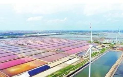 天津长芦汉沽盐场 —— 带你走进七彩盐田~