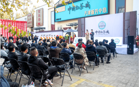 中国白茶城天津服务中心盛大开业
