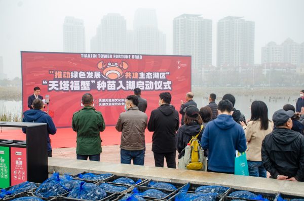天塔福蟹种苗近日入湖，来年品福蟹！