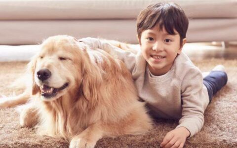 养犬的注意啦！新版《天津市养犬登记证》和犬牌正式启用！
