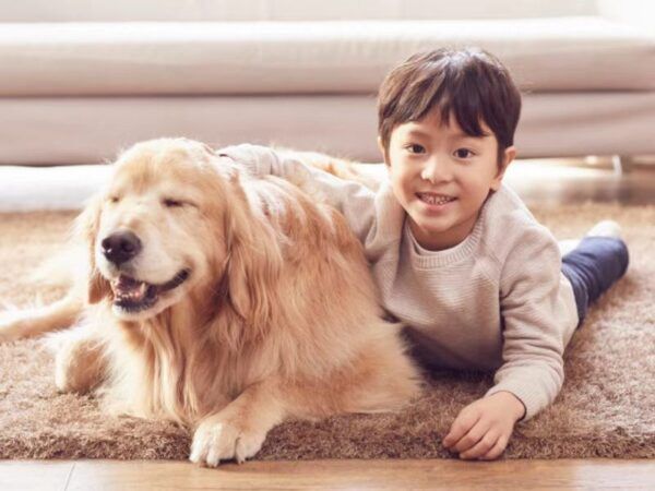 养犬的注意啦！新版《天津市养犬登记证》和犬牌正式启用！