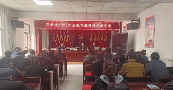 春耕备耕抢农时，津甘两地共同做强宁县金银花产业