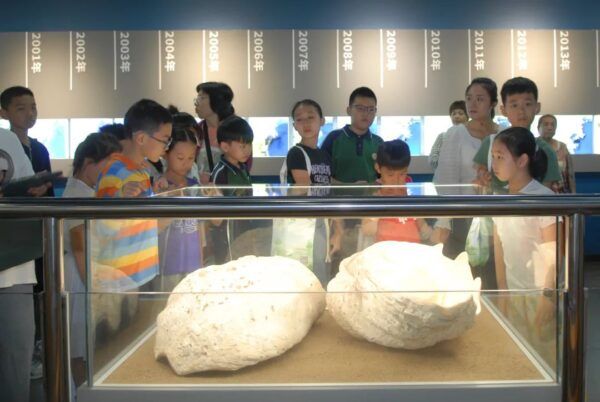 收获满满！古林古海岸遗迹博物馆开展“古海岸的故事”研学实践活动