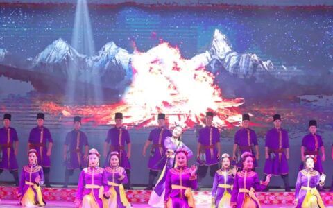 我们的中国梦·中华文化耀和田——天津市滨海新区文艺小分队在和田夜市精彩上演