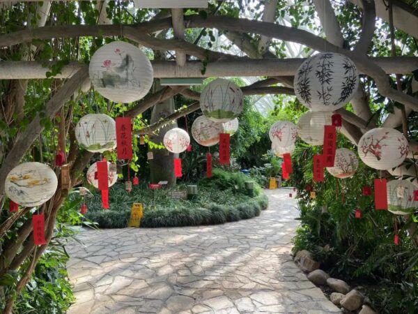 秋季“向海乐活节” | 泰达热带植物园传统花灯展正式开展
