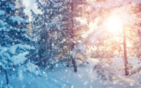 天津最大降雪出现在这！多趟列车停运！