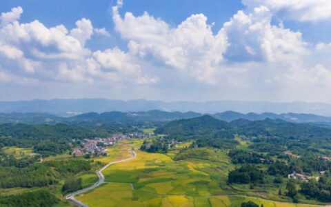 天津市河东区聚焦文旅产业助力打造扎尕那“最美乡村”