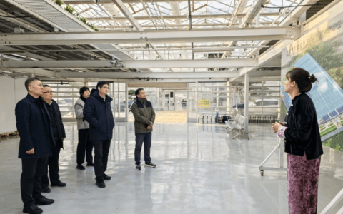 市政务服务办 市农业农村委深入企业走访调研 助力优化营商环境