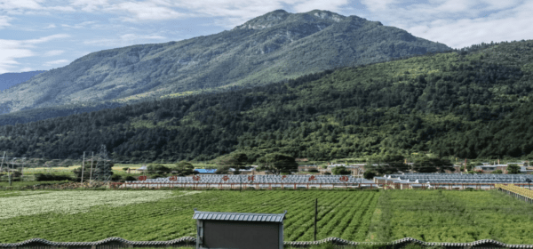 天津市河东区“升级加力”助力迭部县乡村振兴 东西协作硕果累累